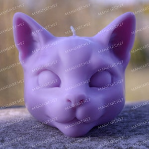 Moule Mystique De Silicone De Tete De Chat 3d Moule De Etsy