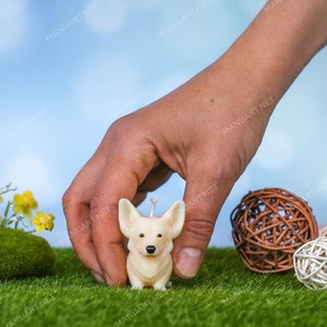 May include: A hand holds a small white candle shaped like a corgi dog. The candle is sitting on a bed of green grass with brown and white woven balls nearby.