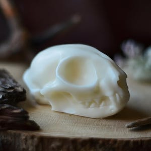 Molde de calavera de gato de tamaño real para velas, resina, jabón y chocolate - Molde de silicona apto para uso alimentario