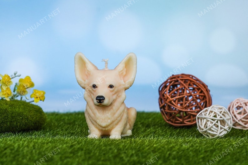 May include: A cream-colored candle shaped like a corgi dog sitting on a green grassy surface. The candle has a brown nose and black eyes. There are three wicker balls in the background.