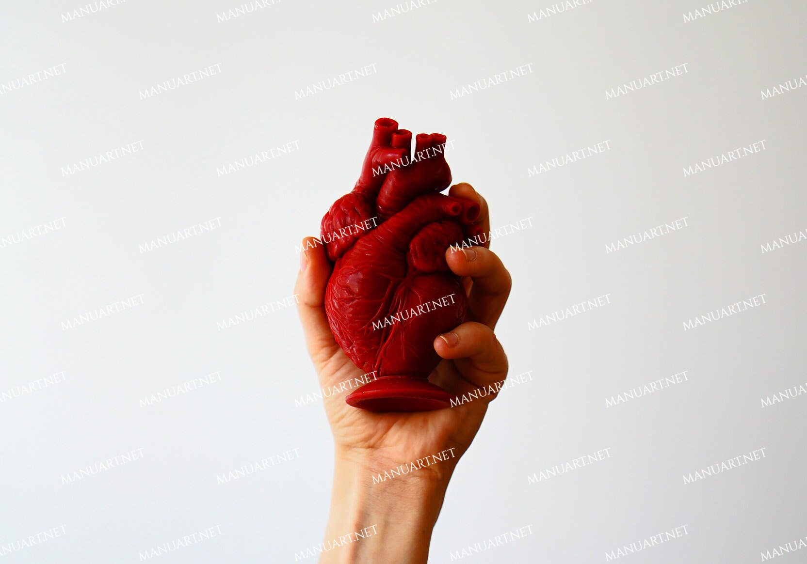 Stampo In Silicone A Cuore Umano 3D – Antiaderente Alimentare, Per Cioccolato, Resina, Sapone E Gelatina, Rosa O Blu 16,3x12,9 Cm