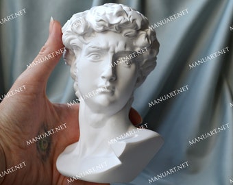 Big David head 15 cm 3D silicone mold, resin, Greek, statue, candle mould, body, man figure, statue, bust, antique, fashion, plaster