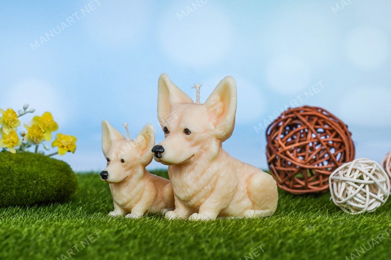 May include: Two beige candle sculptures of corgi dogs, one larger than the other, sitting on a green grassy surface.