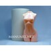 Woman torso 3D silicone mold, soap, resin, erotic, Goddess, naked girl, candle mould, nude, sexual, body, breast, Female figure, backside