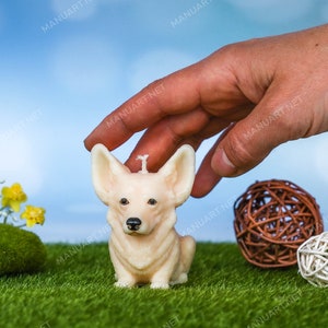 May include: A white candle shaped like a corgi dog sitting on a bed of green grass with brown and white woven balls.
