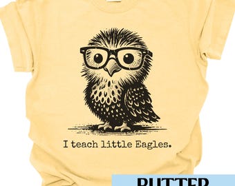 Eagles Mascot Teacher Tee Preschool Teacher Kindergarten Teacher Gift Eagles Shirt Comfort Colors Back To School First Day of School