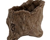 Wedgewood Ceramic Planter - 3 quot x 3 3 4 quot