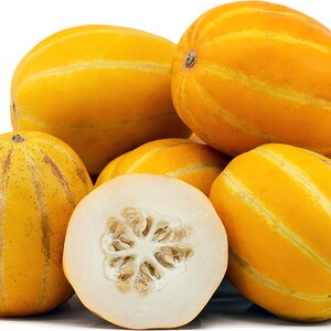 Melon, Honeydew Orangeflesh