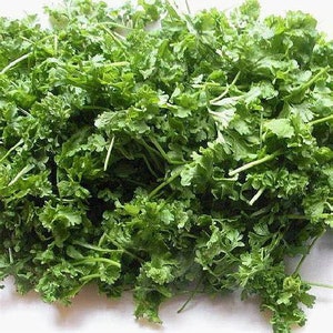 Cress Herb 500 Seeds, 2 grams