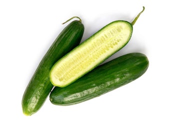 English Cucumber - Telegraph Improved - 20 Seeds