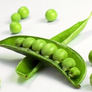 Plus Pack - Sugar Snap Pea Seeds - 26 grams