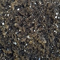 Hirt's Gardens All Natural General Purpose Potting Soil - 4 Quart