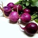 see more listings in the Seeds - Vegetables section