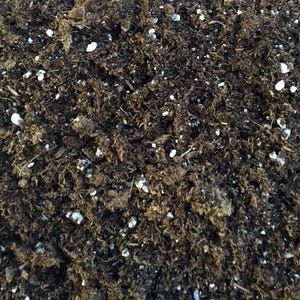 Hirt&#39;s Gardens All Natural General Purpose Potting Soil - 4 Quart