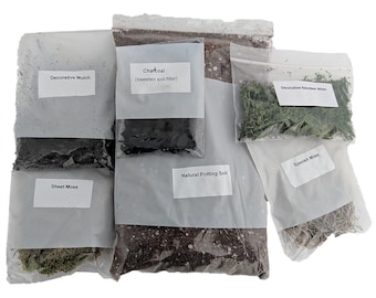 Terrarium/Fairy Garden Kit - Create Your Own Living Terrarium