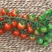 see more listings in the Seeds - Vegetables section