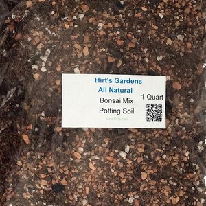 Hirt's Gardens All Natural Bonsai Potting Soil - 1 Quart