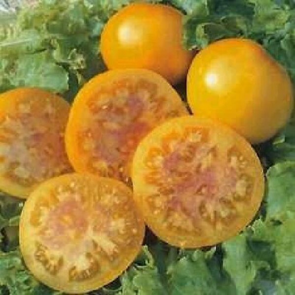 Pink Grapefruit Tomato 15 Seeds -Yellow Skin -LOW ACID!