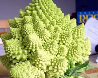 Heirloom Romanesco Broccoli - 50 Seeds