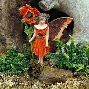 World's Smallest Boston Fern - 2.5" Pot - Terrarium/Fairy Garden/House Plant