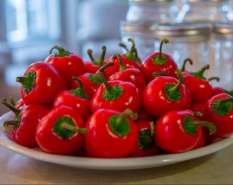 Hot Cherry Pepper Plant - 2.5" Pot - Medium