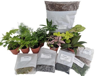 Hirt's Terrarium Kit with 5 Terrarium Plants and 5 Ferns