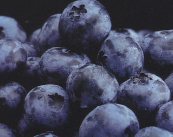 Toro Blueberry Plant - Huge Berries - Early - Self Fertile - 2.5" Pot - No Shipping to Washington State or Oregon