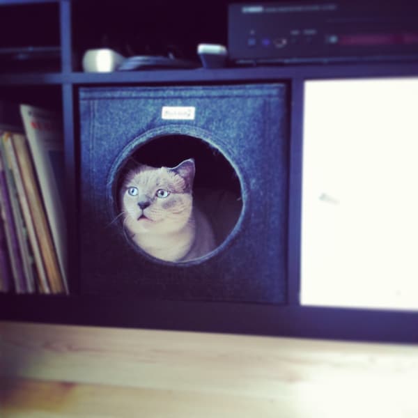 Felt cat cave fits into Ikea Expedit and Kallax, felt cat cube, cat bed, cat house, pet bed, small puppy bed, pet furniture