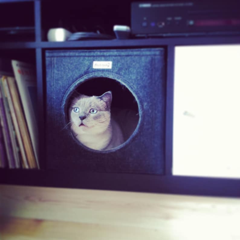 Felt cat cave fits into Ikea Expedit and Kallax, felt cat cube, cat bed, cat house, pet bed, small puppy bed, pet furniture image 1