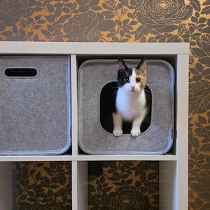 Può includere: Un gatto tricolore, con macchie nere, bianche e arancioni, è seduto in una cuccia per gatti in feltro grigio con un'apertura rotonda. La cuccia è in una libreria bianca. Lo sfondo è una carta da parati floreale nei toni dell'oro e del grigio.