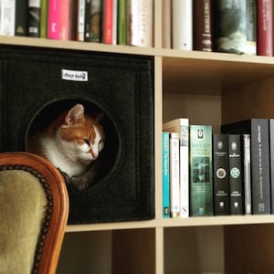 Felt cat cave fits into Ikea Expedit and Kallax, felt cat cube, cat bed, cat house, pet bed, small puppy bed, pet furniture image 2