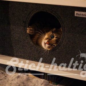 Felt cat cave fits into Ikea Expedit and Kallax, felt cat cube, cat bed, cat house, pet bed, small puppy bed, pet furniture image 6