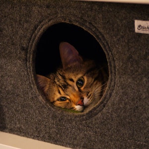 Felt cat cave fits into Ikea Expedit and Kallax, cat cube, felt cat bed, cat house, pet bed, small puppy bed, pet furniture image 8