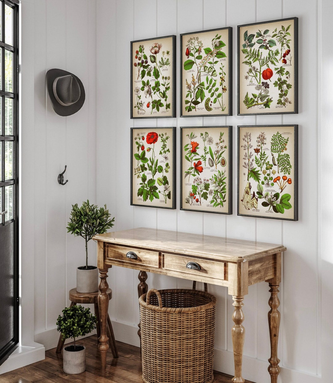 botanical herb prints set of 4 unframed botanical herb... Botanical 6-piece Print Set #1 - Medicinal Plants, Herbs, Flower ...