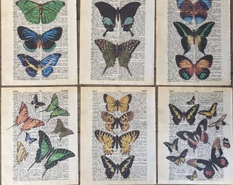 Butterfly themed dictionary 6-piece print set， Butterfly wall art，Vintage butterfly print，printed on upcycled vintage dictionary pages #1556