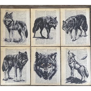Wolf Themed dictionary prints -6 piece set - Wolf Book Print, Wolf Art on dictionary page - printed on vintage dictionary pages #1484