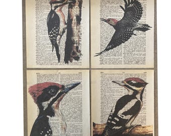 Woodpecker Wall themed dictionary print set - Bird Art on Dictionary - 4-piece set  - printed on upcycled vintage dictionary pages #1514