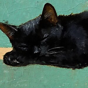 May include: A black cat with closed eyes is sleeping on a teal green surface. The cat's fur is soft and fluffy, and its whiskers are visible.