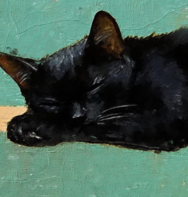 May include: A black cat with closed eyes is sleeping on a teal green surface. The cat's fur is soft and fluffy, and its whiskers are visible.