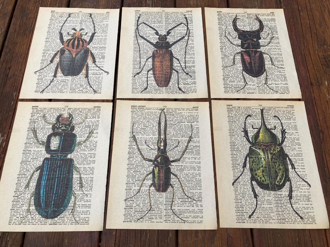 Bug/insect Themed Themed Dictionary 6-piece Print Set- Bug Art ...