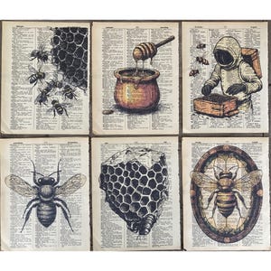 May include: Six vintage dictionary pages with illustrations of honeybees, honeycombs, and a beekeeper. The illustrations are in black and white and have a vintage aesthetic.