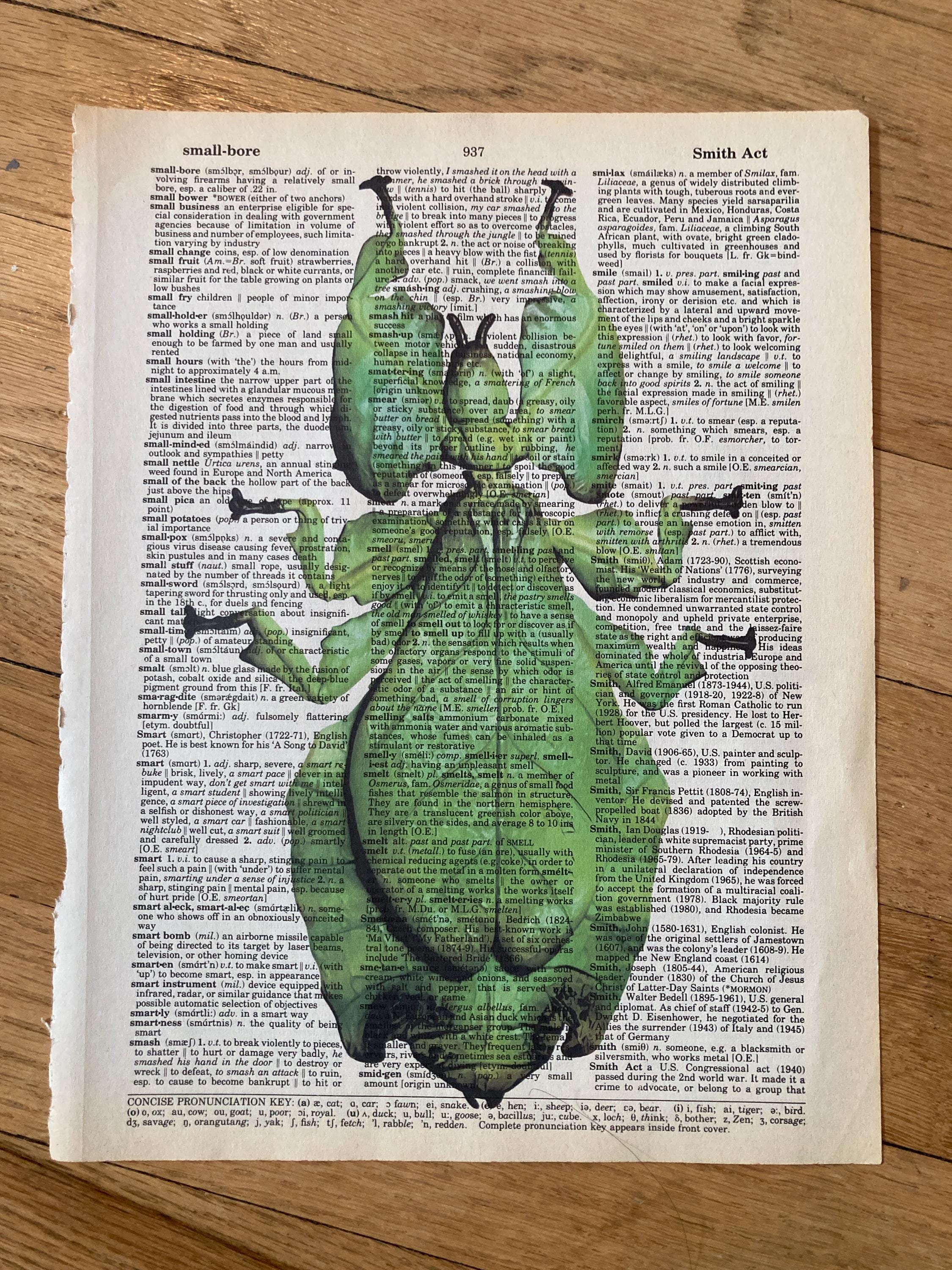 Bug/insect Themed Themed Dictionary 6-piece Print Set- Bug Art ...