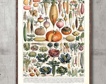 May include: A vintage botanical illustration of various vegetables and root vegetables. The image is labeled "Legumes et Plantes Potageres" and includes a variety of colors, including green, red, orange, yellow, and purple.
