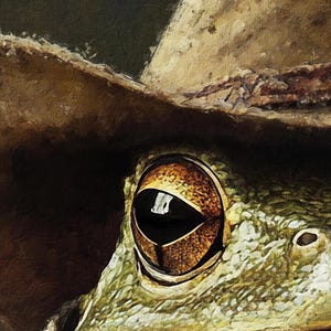 Op de afbeelding: Close-up van een kikkeroog met een bruine en gouden iris. De kikker draagt een bruine cowboyhoed.