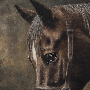 May include: A close-up of a brown horse's head with a black bridle. The horse has a dark brown coat and a white star on its forehead. The horse's eye is visible and looks directly at the viewer.