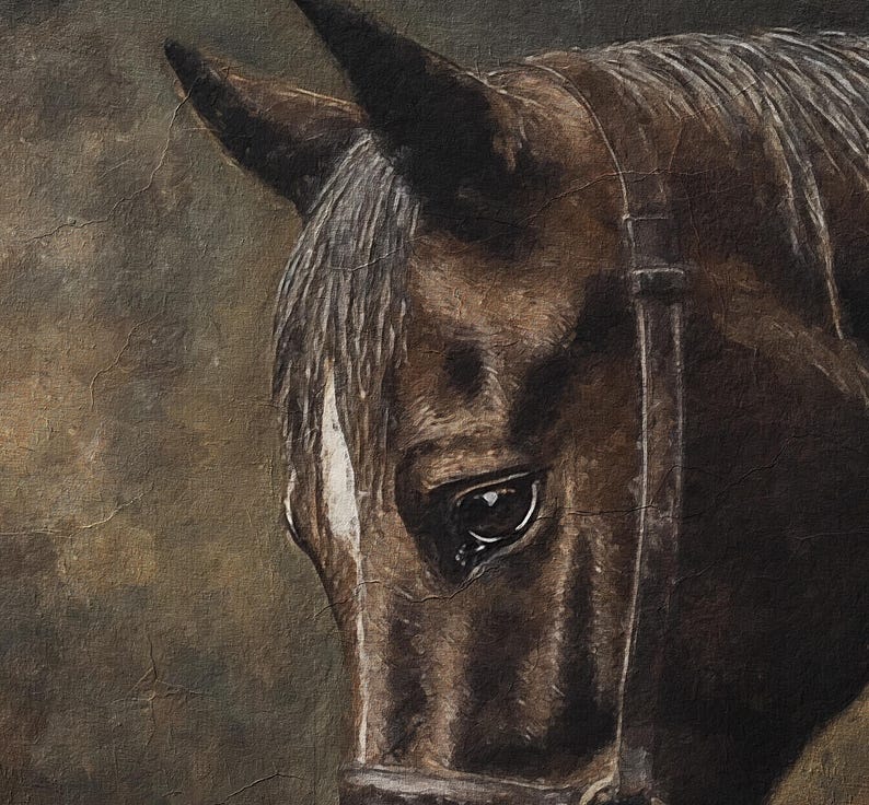 May include: A close-up of a brown horse's head with a black bridle. The horse has a dark brown coat and a white star on its forehead. The horse's eye is visible and looks directly at the viewer.