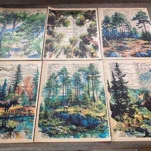 May include: Set of six vintage-style art prints featuring forest scenes. Each print showcases a unique watercolor painting of trees, forests, and wildlife, set against a backdrop of aged dictionary pages. The prints have a rustic, natural aesthetic.