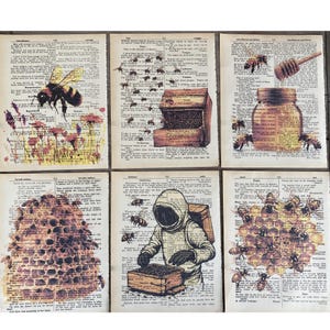 May include: Six vintage book pages with illustrations of bees and honeycombs. The pages are printed with text and have a yellowed, aged look. The illustrations are in shades of brown, yellow, and orange.