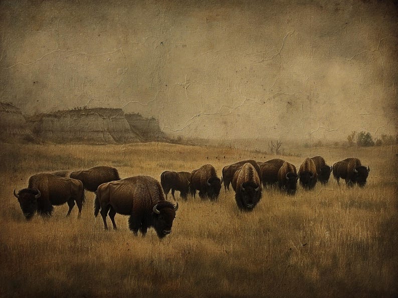 Vintage-style Bison Wall Art – Western Buffalo Herd Landscape Print ...