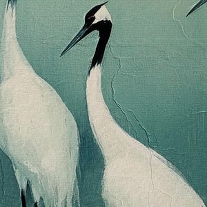 May include: Two white cranes with black heads and necks stand against a teal green background. The cranes are facing different directions. The background has a textured, cracked appearance.